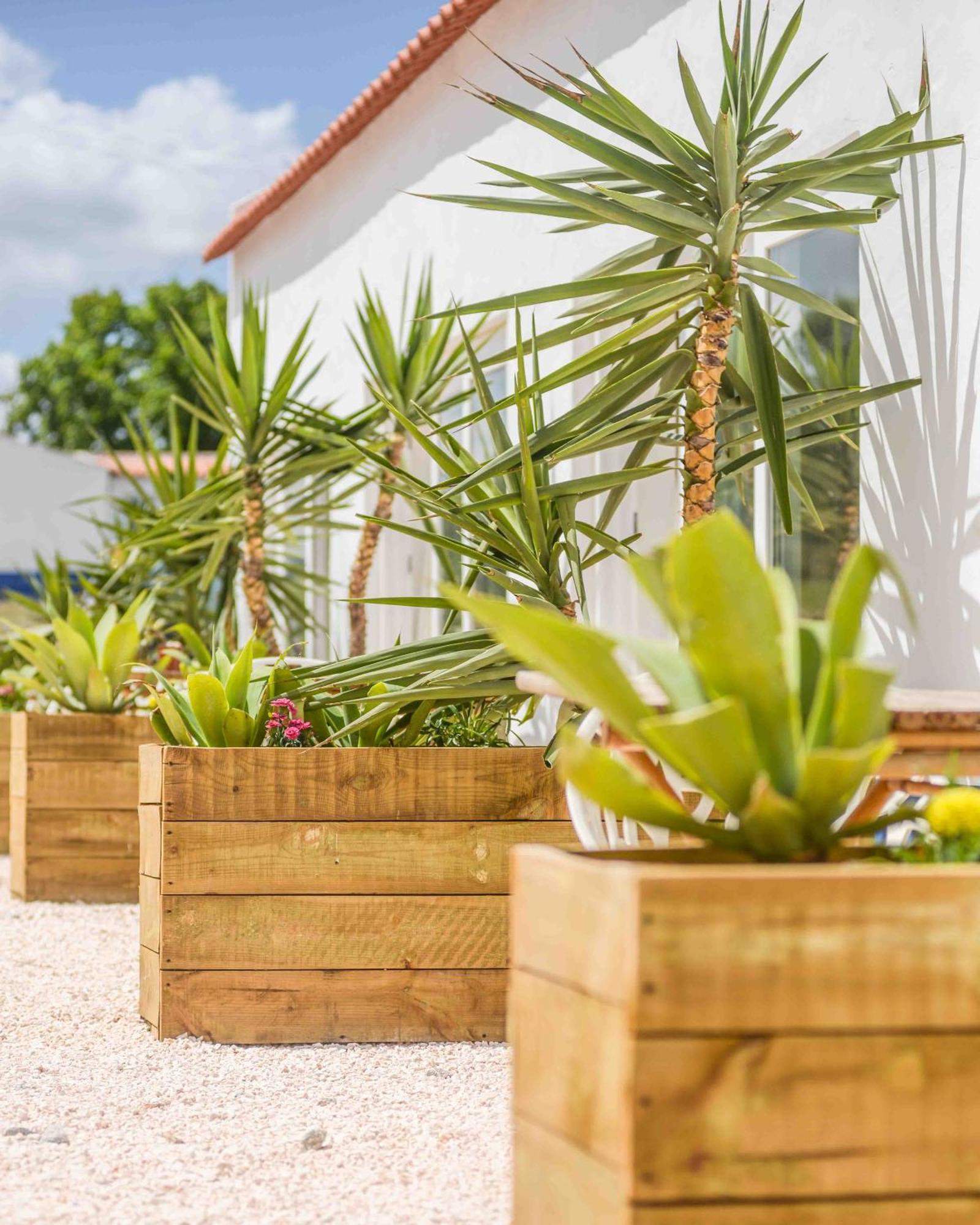 Valle D'Agua - Casas De Campo Vale de Água Kültér fotó
