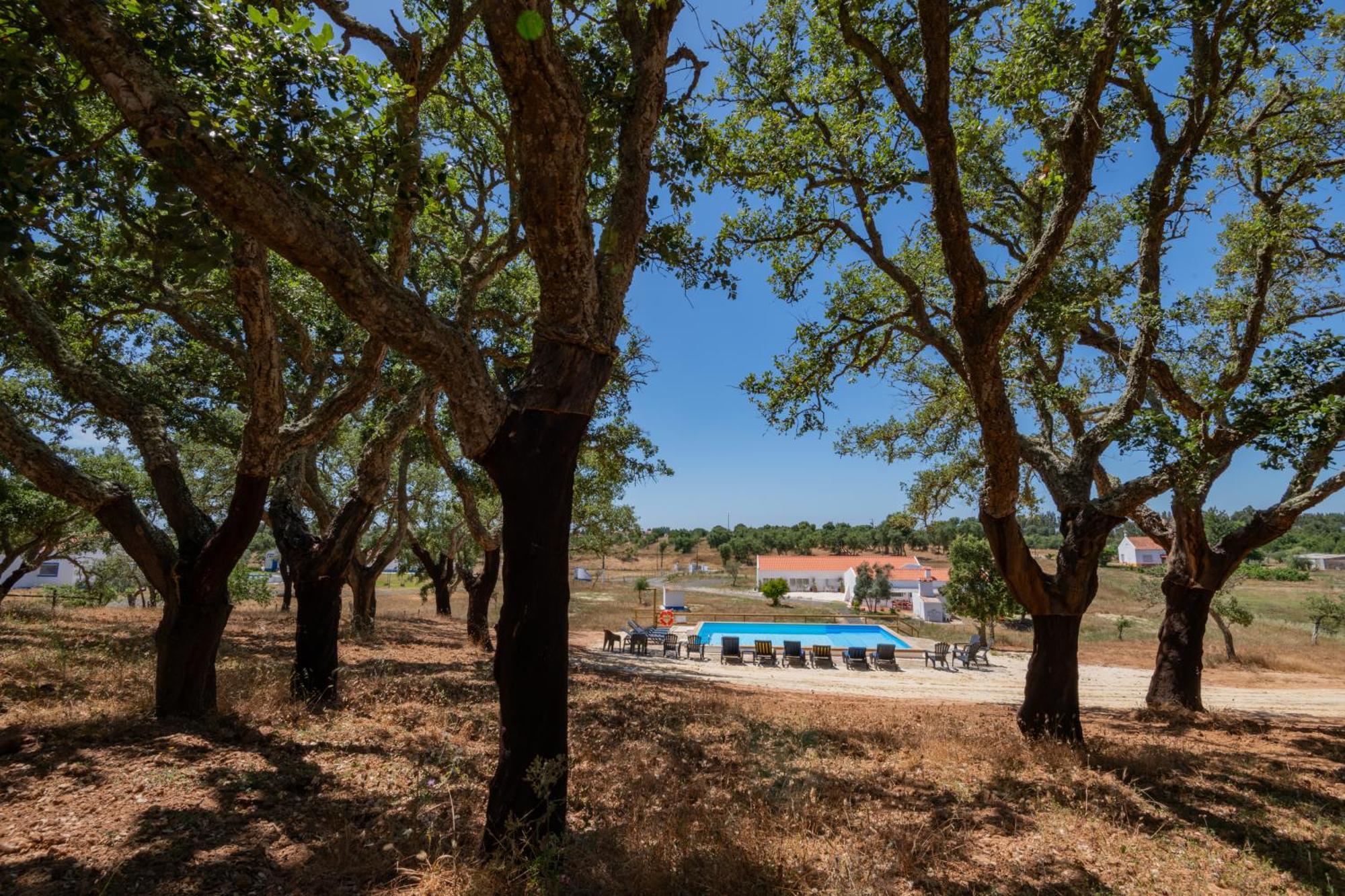 Valle D'Agua - Casas De Campo Vale de Água Kültér fotó
